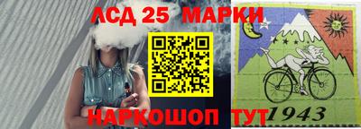 индика Можайск