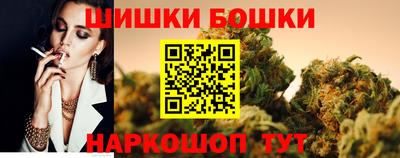 индика Можайск