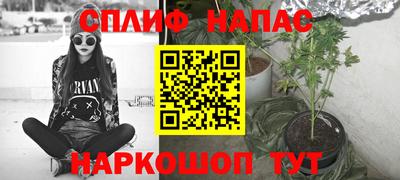 индика Можайск