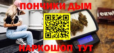 индика Можайск
