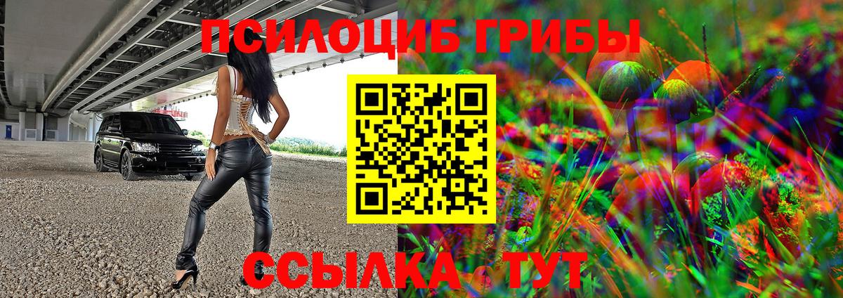 Сибай  купить   Вход с VPN  Галлюциногенные грибы Psilocybe 